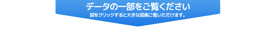 データの一部をご覧ください