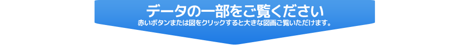 データの一部をご覧ください